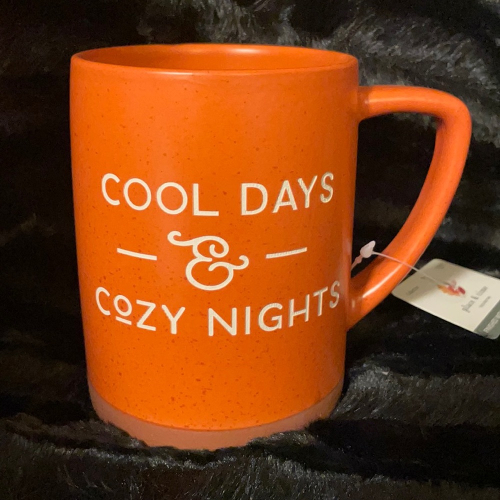 Cool days and cozy nights fall mug